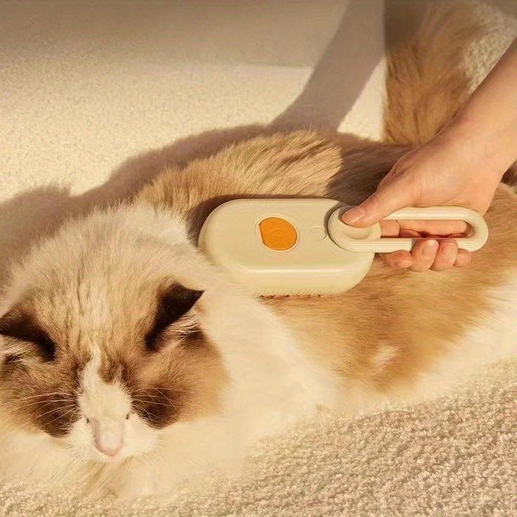 3-in-1 Steam Pet Brush – Groom, Clean & Massage